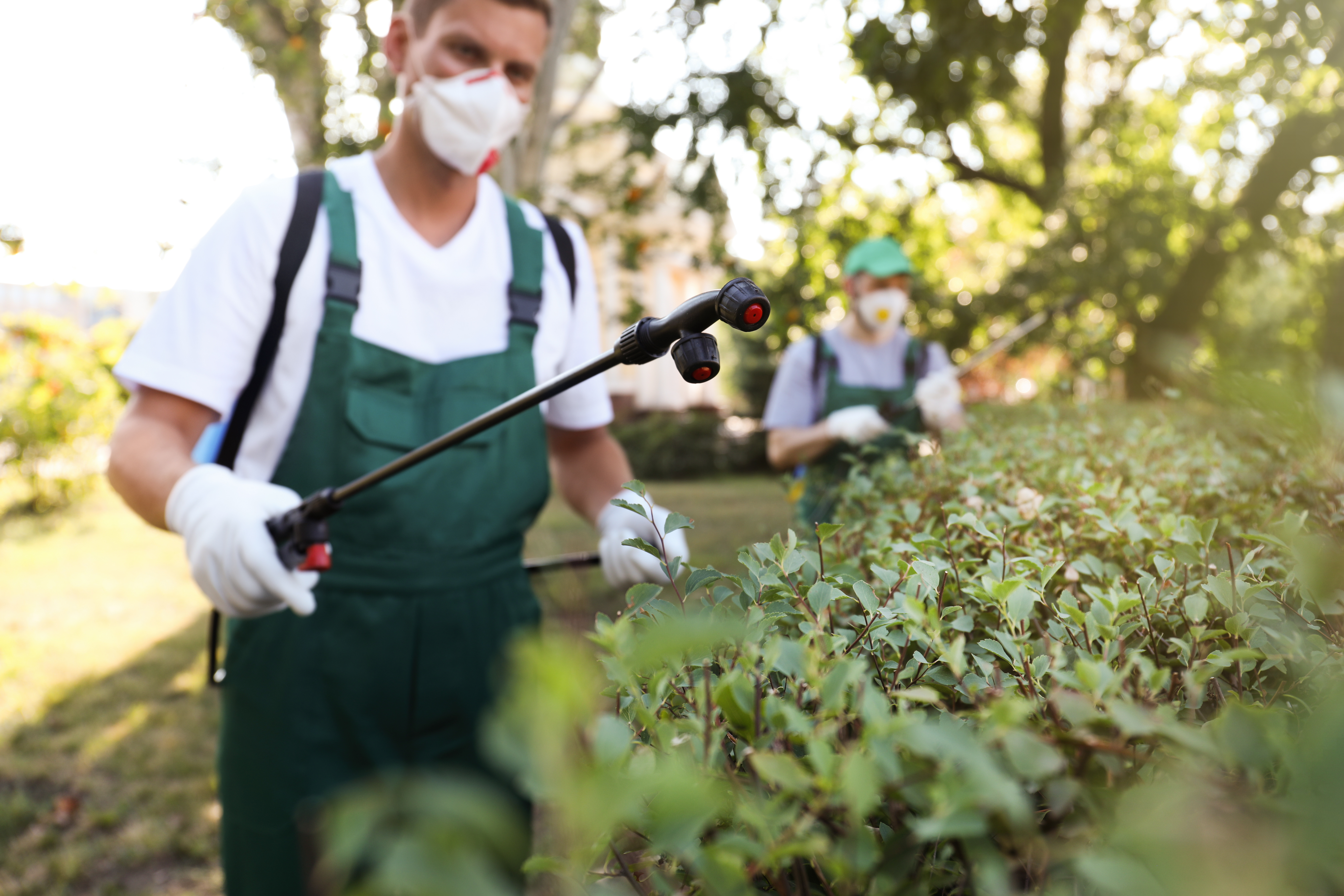 Be the pest control company they call immediately