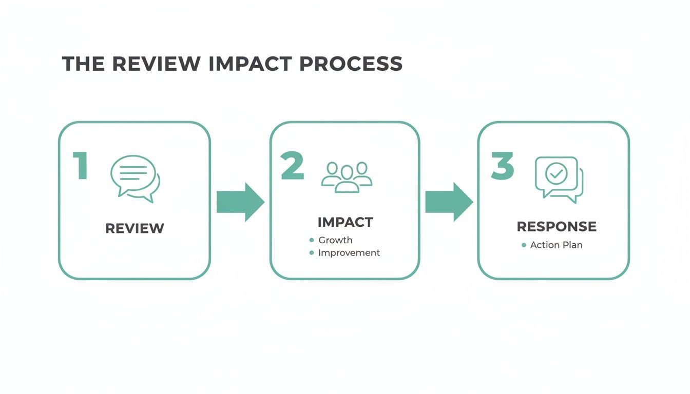 A diagram illustrating the Review Impact Process, detailing review, impact (growth, improvement), and response (action plan) actions.
