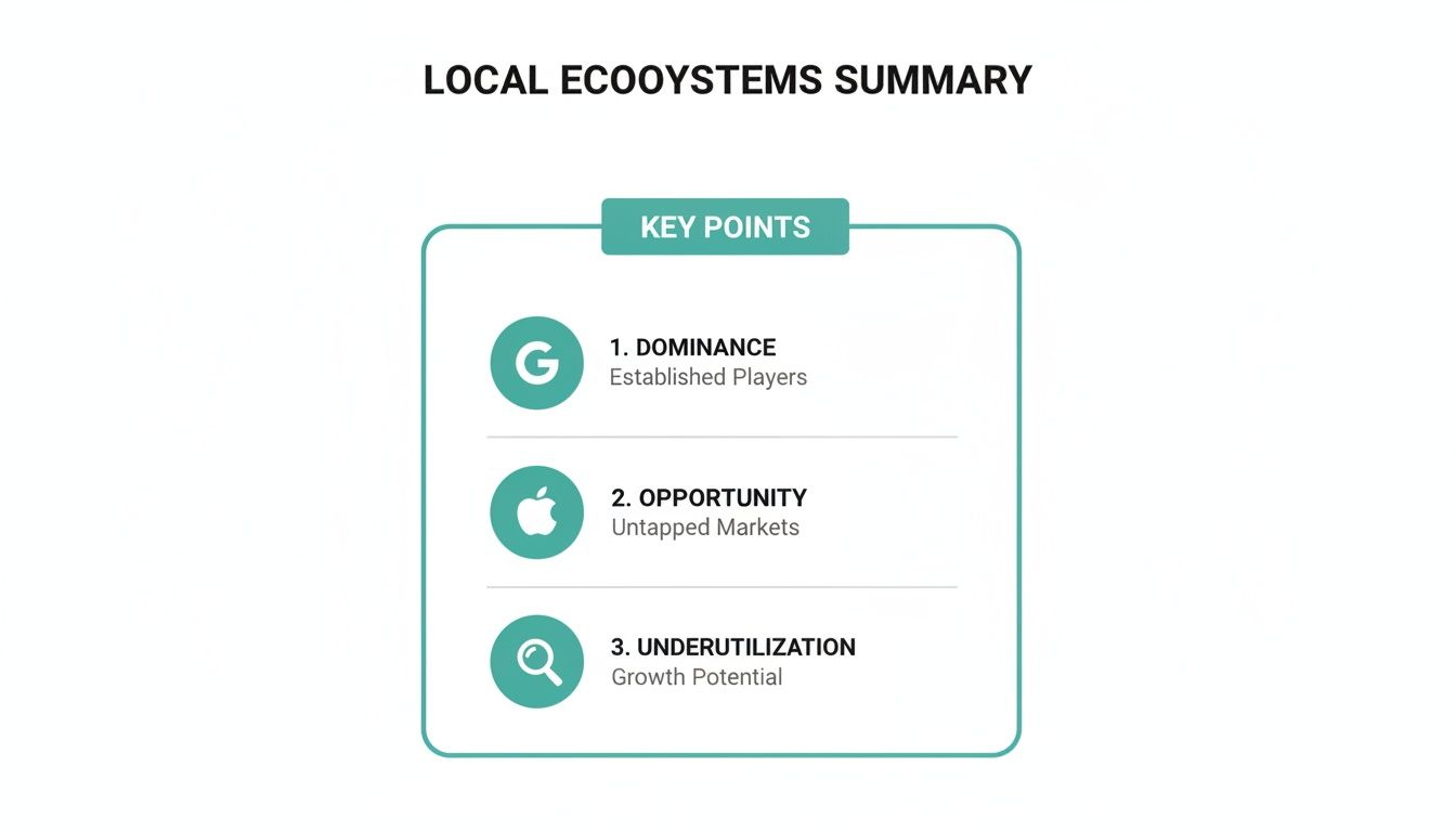 Slide summarizing local ecosystems key points: dominance, opportunity, and underutilization with respective icons and descriptions.